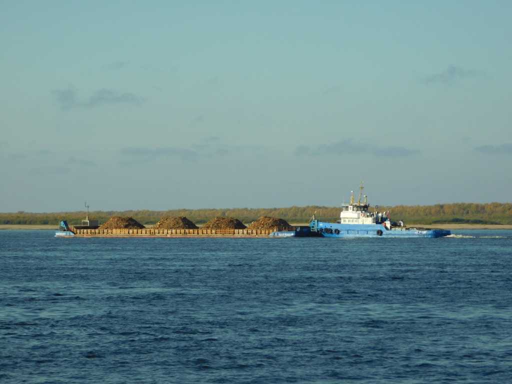 DSCN7033.JPG