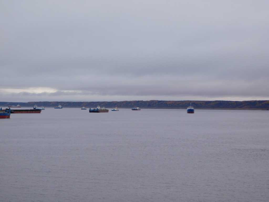 DSCN8554.JPG