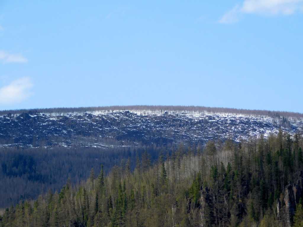 DSCN6341.JPG