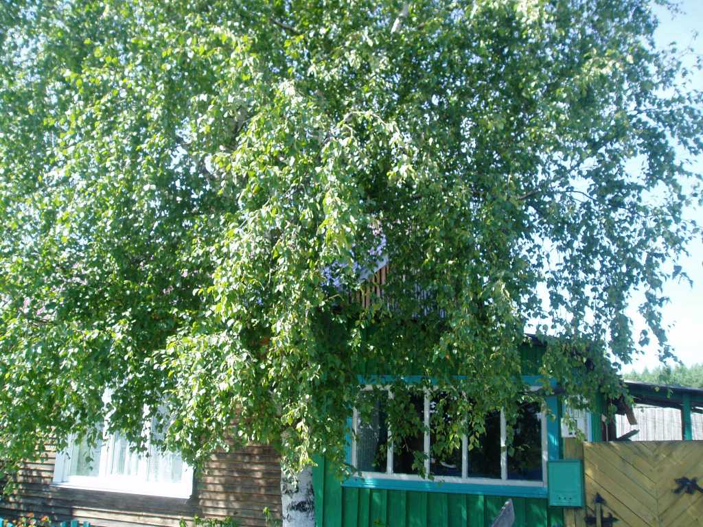 P1010034.JPG