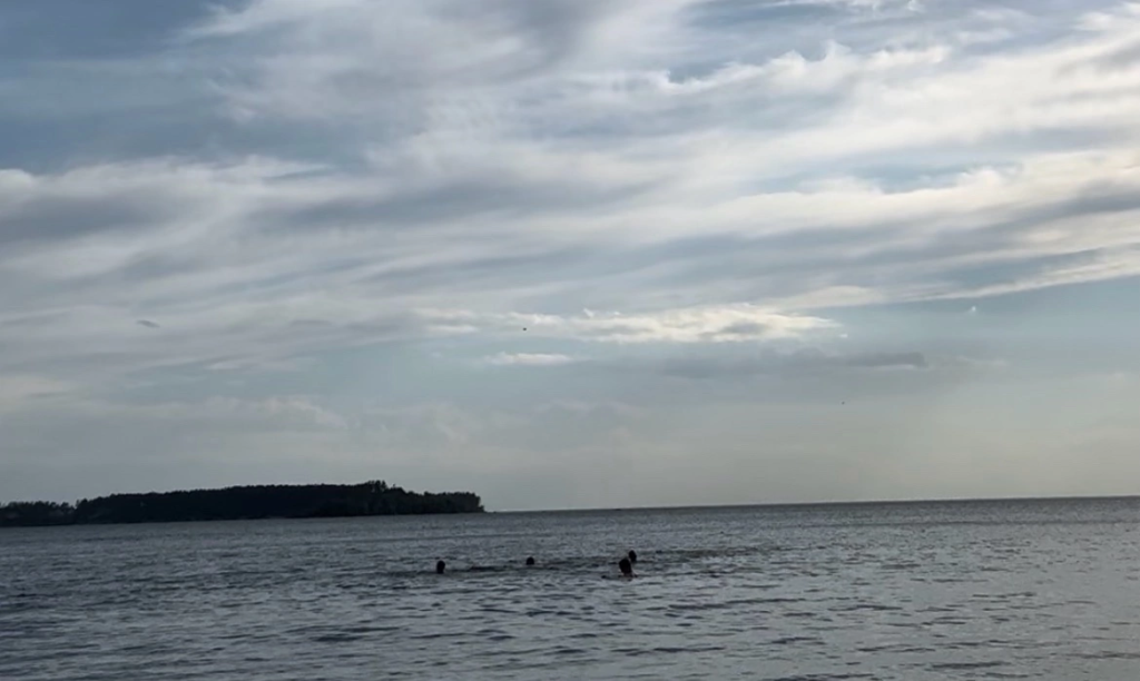 IMG_1550.png