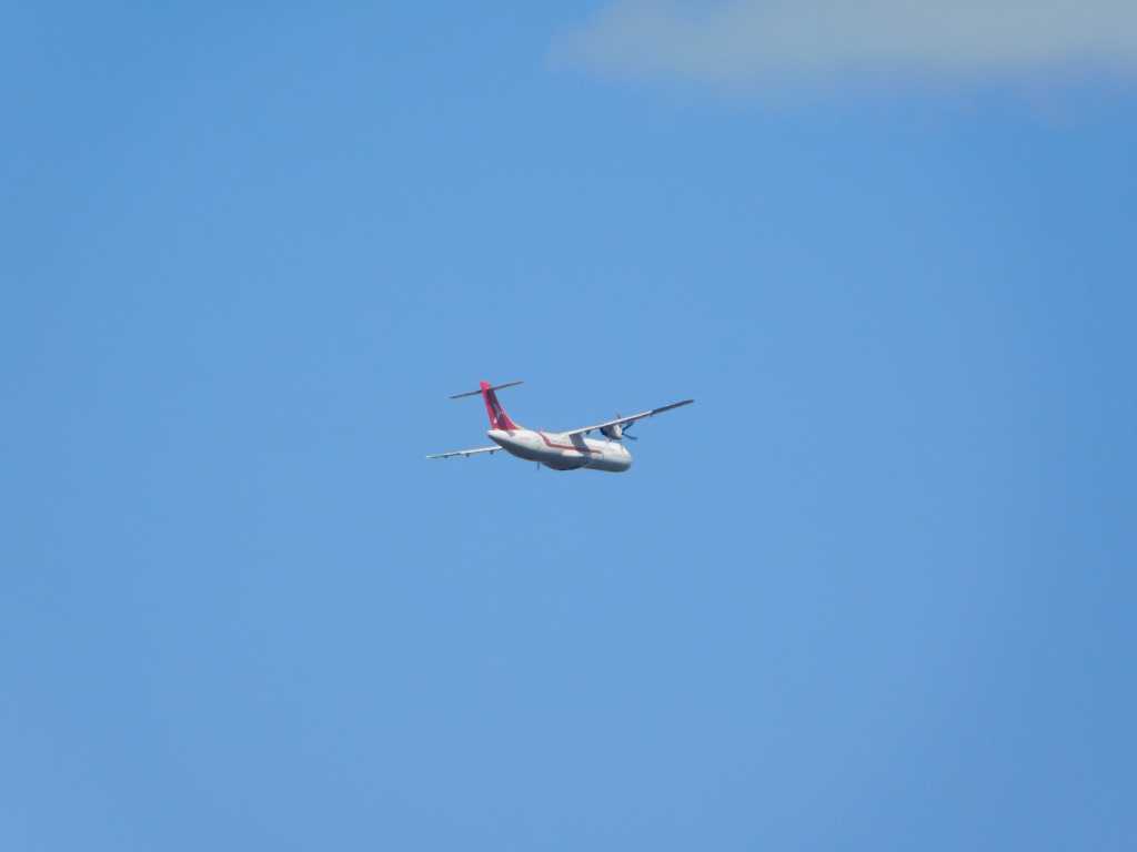 DSCN6714.JPG